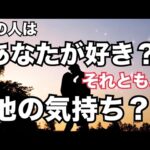 あの人はあなたが好き？それとも別の感情？コレは衝撃結果🫨怖いくらい当たる♥️恋愛タロット占い ルノルマン オラクルカード細密リーディング