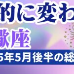 【蠍座】2025年5月後半のさそり座の運勢『劇的に変わる』