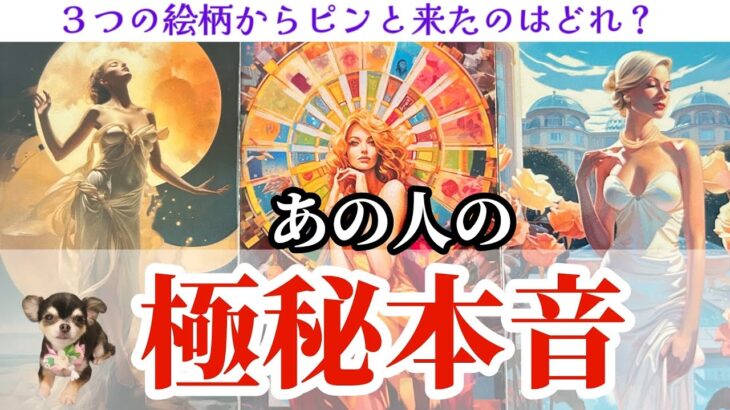 【◯番さん‼️彼の想いが強すぎて心臓止まる😭💖】あの人の極秘本音❤️‍🔥