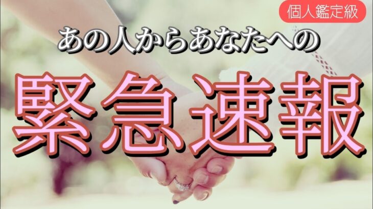 待って…!!お相手からあなたへ緊急速報が入りました💓恋愛タロット占い