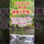 【獅子座】2025年6月しし座占い #獅子座 #しし座 #shorts