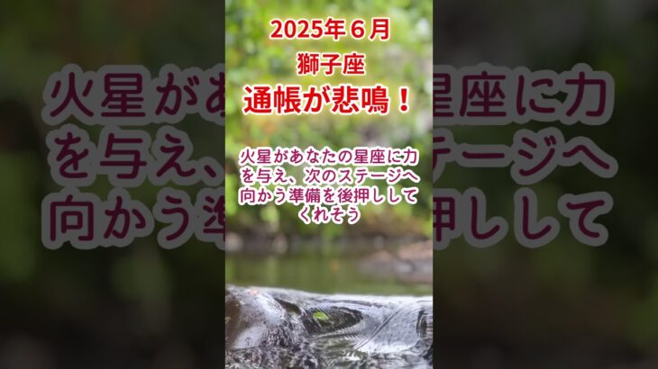 【獅子座】2025年6月しし座占い #獅子座 #しし座 #shorts