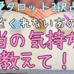 【待つのに疲れたあなたへ】恋愛タロット3択_言葉をくれないあの人…本当の気持ちを教えて！_バランガン_いち木しま馬
