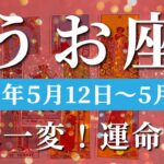 魚座 【 うお座 ♓ 】週間リーディング( 2025年 5月12日の週)奇跡、始動！繋がる運命が加速する🌟変化に合わせて、繋いでいく。✨🔑 魚座 タロット占い