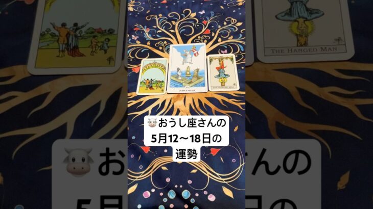 🐮おうし座さんの5月12～18日の運勢 #タロット #占い　#おうし座　#牡牛座　#運勢　#今週の運勢　#おう　#おうし　#おうしざ　#うんせい　#うらない　#たろっと #今週のメッセージ