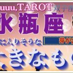 成長の時、才能を発展させるチャンス🌼水瓶座♒️さん【双子座新月🌚〜次に手に入りそうな大きなものって何⁉️】#2025 #タロット占い #星座別