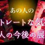 【❤️🫢統合が急接近してます🪐❤️】あの人のドストレートな気持ち✨2人の今後の展開💫