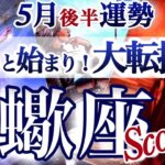 さそり座 5月後半運勢【一気に来る！生まれ変わり級の大変革】未来の為に全ての変化を受け入れよう　サソリ座　2025年 ５月運勢　タロットリーディング　Scorpio May