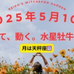 🌱「感じて、動く。」水星牡牛座入りで納得の一歩を踏み出す日✨　#占い #星読み 　　＃天秤座