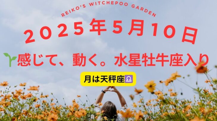 🌱「感じて、動く。」水星牡牛座入りで納得の一歩を踏み出す日✨　#占い #星読み 　　＃天秤座