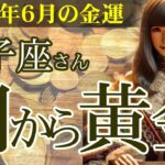 【獅子座】💴2025年6月 しし座の金運💹🌟金運どん底からの奇跡！獅子座が闇から黄金を掴む2025年6月の秘密とは？👛✨2025年6月の獅子座の金運を中心に、12星座とタロット占いで徹底追及！
