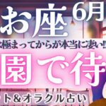 【魚座】やっぱり凄いわ‼️ 魚座さんが変わると世界が変わる!! 宇宙に愛されてるから安心して楽園🫧目指しましょう〜🌈✨ 6月運勢  タロット占い