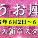 魚座 【 うお座 ♓ 】週間リーディング( 2025年 6月2日の週)祝福が降り注ぐ！運命激変の瞬間✨ 神展開が始まる。✨🔑 魚座 タロット占い