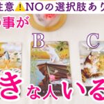 【⚠️閲覧注意⚠️NOの選択肢あり❗️】今私の事が好きな人はいますか？YES or NO❗️タロット、タロット占い、恋愛
