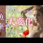 🌙魚座♓️5/15~6/15🌟光と影 心の自由と葛藤のバランス 自信をとり戻しよい影響を与え合う🌟しあわせになる力を引きだすタロットセラピー