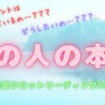 【あの人の本音🤯】サクサク恋愛タロットリーディング8択  本当はどう思ってるの？🤔何を考えているの？好きな人 片思い 彼 彼女 疎遠 音信不通 脈アリ 気持ち🤍