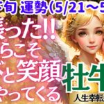 【♉牡牛座さん💖5月下旬・後半運勢】〈頑張ってきた事が報われる最高な時✨心を落ち着けて未来を信じて❗今後はもっと自由に自分らしく💖〉 人生幸転タロットリーディング 占い おうし座 太陽星座・月星座