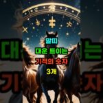 말띠 대운 트이는 기적의 숫자 3개 #말띠운세 #사주명리학 #행운예감 #말띠성공운