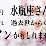 6月前半　【水瓶座】　他者との境界線　わたしはわたしを生きる　選択はあなた様が自由にできます