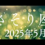 さそり座♏2025年5月【創造✨】気づき目覚めのとき🌈共同創造が加速する🌈