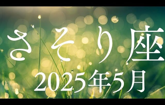さそり座♏2025年5月【創造✨】気づき目覚めのとき🌈共同創造が加速する🌈