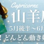 やぎ座♑️2025年5月後半〜6月前半🌝 好転の渦がやってくる！早すぎてついていけないかも！どっちに行くか行かないか、出発のとき