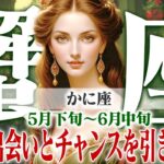 【かに座5月下旬〜6月中旬】幸せは静かに育む時！最高の出会いとチャンスを引き寄せる【癒しの眠れる占い】