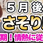 さそり座 5月後半の運勢♏️ / 強運期続行中❗️大浄化が起きている✨ 豊かさに満たされる💕【トートタロット & 西洋占星術】