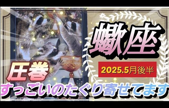 【5月後半🌏】蠍座さんの運勢✨🌙圧巻‼すっごいのたぐり寄せてます💫