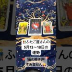 👬ふたご座さんの5月12～18日の運勢 #タロット #占い　#ふたご座　#双子座 　#運勢　#今週の運勢　#ふた　#ふたご　#ふたござ　#うんせい　#うらない　#たろっと #今週のメッセージ