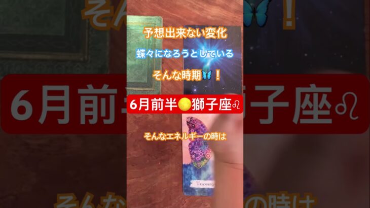 【6月前半】×【獅子座♌︎】 #占い #恋愛 #tarot #タロット #星座別 #2025 #オラクルカード #獅子座　#Leo