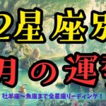 【◯座さん最強‼️😂】12星座別でみる5月の運勢⭐️［タロット・オラクル・ルノルマン・占い］