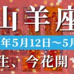 山羊座 【 やぎ座 ♑ 】週間リーディング( 2025年 5月12日の週)奇跡の引き寄せ！再チャンスで世界が広がる・拡大する意識✨🔑 山羊座 タロット占い