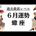 キタ～～ッ‼️蠍座、過去一レベルの追い風が吹く強運期‼️すべて順調だぜーーっ2025年6月全体運勢♏️仕事恋愛不安解消評価や印象【個人鑑定級タロットヒーリング】