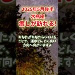【水瓶座】2025年5月後半 みずがめ座の運勢｜癒しが訪れる！ #水瓶座 #みずがめ座