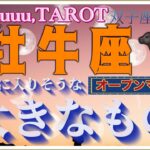 素直に出してみればいい🌈牡牛座♉️さん【双子座新月🌚〜次に手に入りそうな大きなものって何⁉️】#2025 #タロット占い #星座別