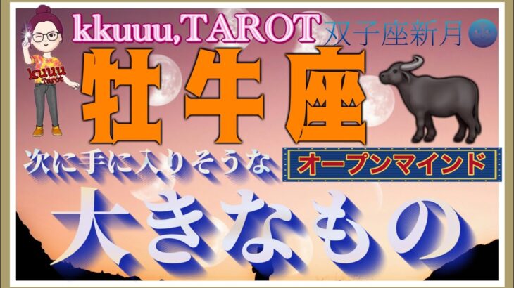 素直に出してみればいい🌈牡牛座♉️さん【双子座新月🌚〜次に手に入りそうな大きなものって何⁉️】#2025 #タロット占い #星座別