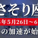 蠍座 【 さそり座 ♏ 】週間リーディング( 2025年 5月26日の週)祝福が降り注ぐ！気づきが“運命を動かす合図”になる。✨🔑 蠍座 タロット占い