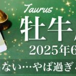【おうし座】2025年6月♉️ もうやばい！規模が違う恩恵、はっきり現れる、祝うしかないでしょ！新しいストーリーの幕開け、