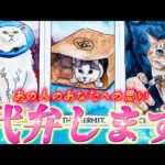 【衝撃のガチ告白❤️】正直過ぎるあの人の本音💗あなたに言えずにいることを代弁します！気まずい、恥ずかしい💦あなたへの本当の気持ち　個人鑑定級✨タロット