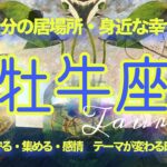 【6月前半✴︎牡牛座】少し疲れやすい時期は癒して🌿コツコツ努力したことに結果が出る◎トキメキを大切に進む🤍✴︎【2025】