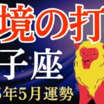 【獅子座】2025年5月のしし座の運勢～逆境を打破し希望を見つける～タロット占い＆占星術