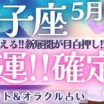【獅子座】鳥肌が止まらない‼︎ 開運確定〜‼︎〇〇を獅子座さんは持ってます❤️‍🔥 ✨  5月運勢  タロット占い