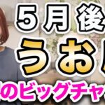うお座 5月後半の運勢♓️ / 変容のビッグチャンス❗️無理なく生きる人生に向かっている✨ 情熱が進むべき道を示している🔥【トートタロット & 西洋占星術】