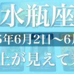【みずがめ座】1週間の運勢（2025年6月2日〜6月8日）♒️変化とデトックス、解放、軽さを実感するとき
