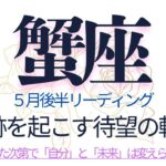 かに座♋️5月後半💫嬉しいニュースと奇跡の展開❗️流されないあなたの強さで世界を切り開く❗️