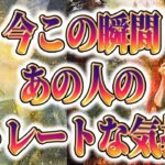 【まさかの展開💫相手の気持ち】片思い複雑恋愛タロットカードリーディング🦋個人鑑定級占い🔮