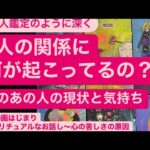 🧚今のあの人の現状と気持ち💗2人の関係に何が起こってるの？　　　🔸動画はじまり〜スピリチュアルなお話し・心の苦しさの原因を知って自分の感情をコントロールしてみよう