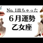 No. 1出た～～‼️乙女座はガラッと大解放だわ。試練終了して光をたっぷり浴びる2025年6月全体運勢♍️仕事恋愛不安解消評価や印象【個人鑑定級タロットヒーリング】