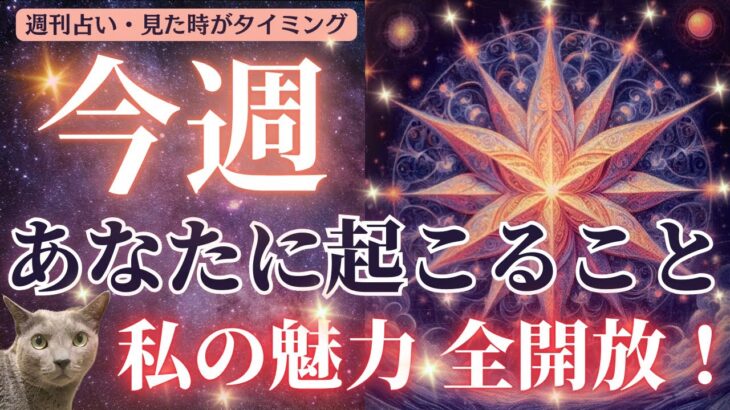 蠍座満月の後押し🌝✨貴方の魅力全開放❤️モテ❤️仕事も恋愛も上上です⭐️🙌見た時がタイミング🌈🐲🐍✨［占い/タロット/オラクル/ルノルマン/チャネリング/恋愛/仕事/潜在意識/統合調和/龍神］